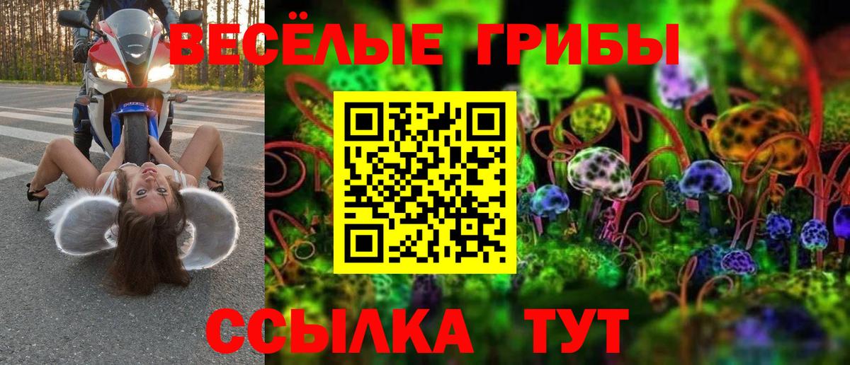 Галлюциногенные грибы Psilocybe Майский