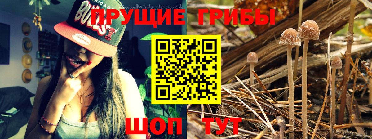 Галлюциногенные грибы MAGIC MUSHROOMS  Вход с VPN  Майский 